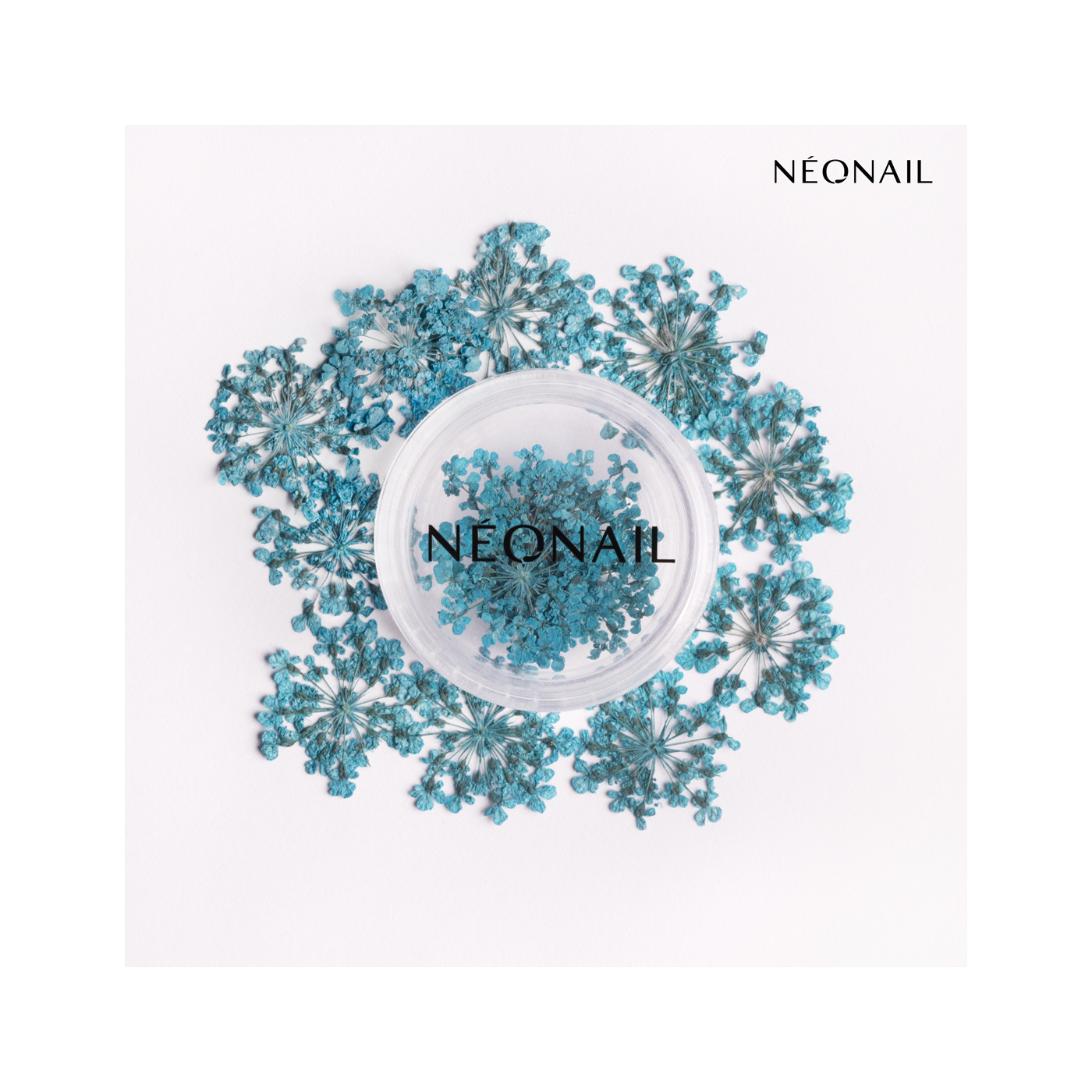 Květinová Dekorace 05| 11086 Květinová Dekorace 05| 11086